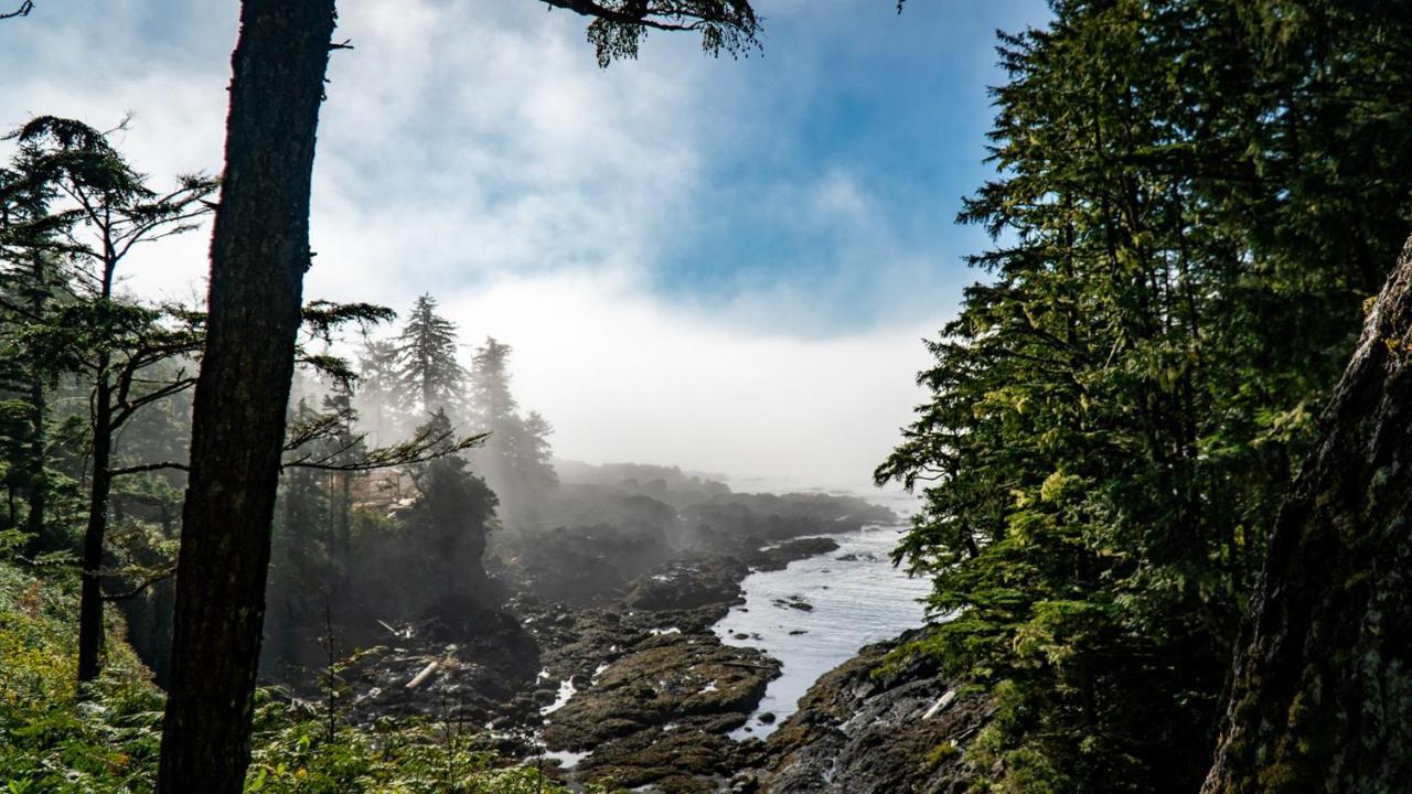 Odyssey Shores Guest Suite Ucluelet Eksteriør billede