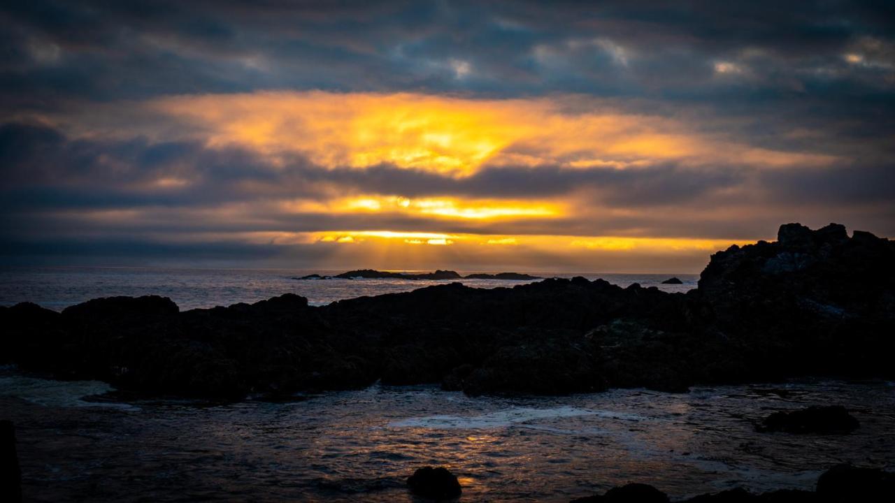 Odyssey Shores Guest Suite Ucluelet Eksteriør billede