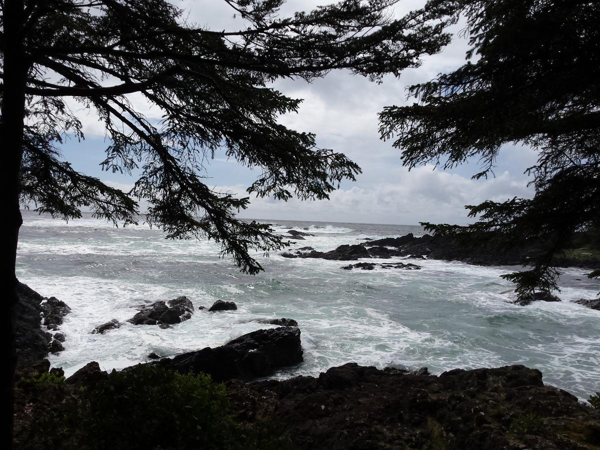 Odyssey Shores Guest Suite Ucluelet Eksteriør billede