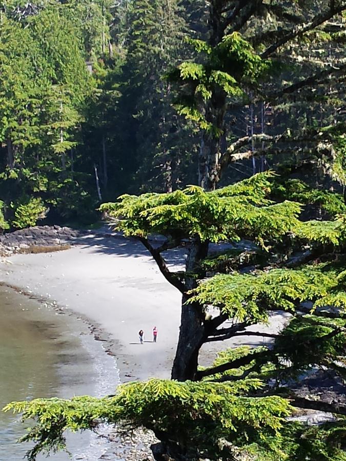 Odyssey Shores Guest Suite Ucluelet Eksteriør billede