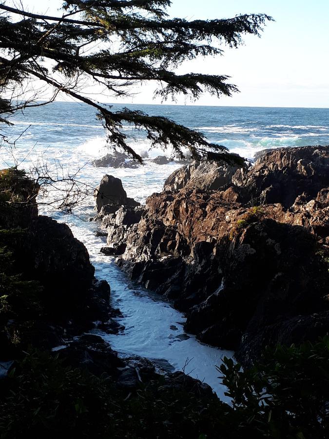 Odyssey Shores Guest Suite Ucluelet Eksteriør billede