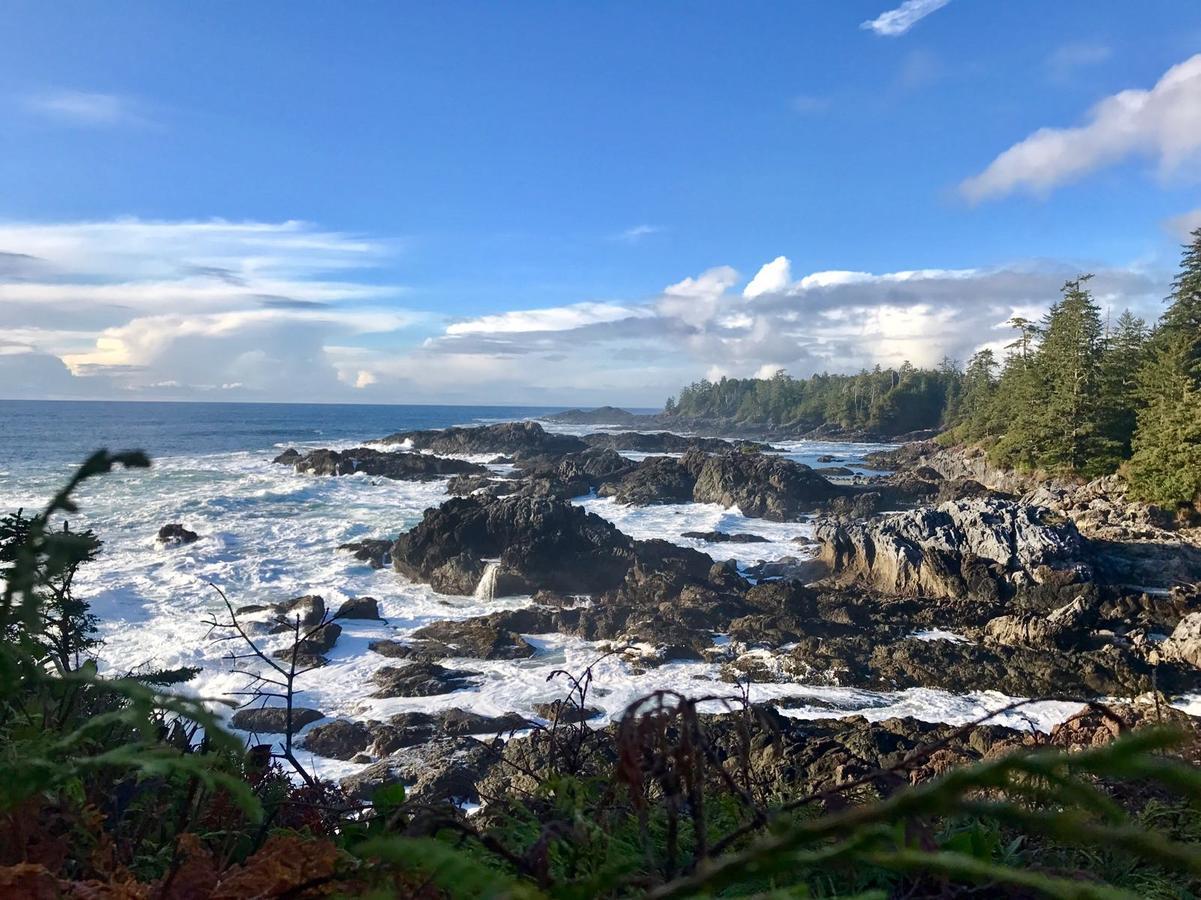 Odyssey Shores Guest Suite Ucluelet Eksteriør billede