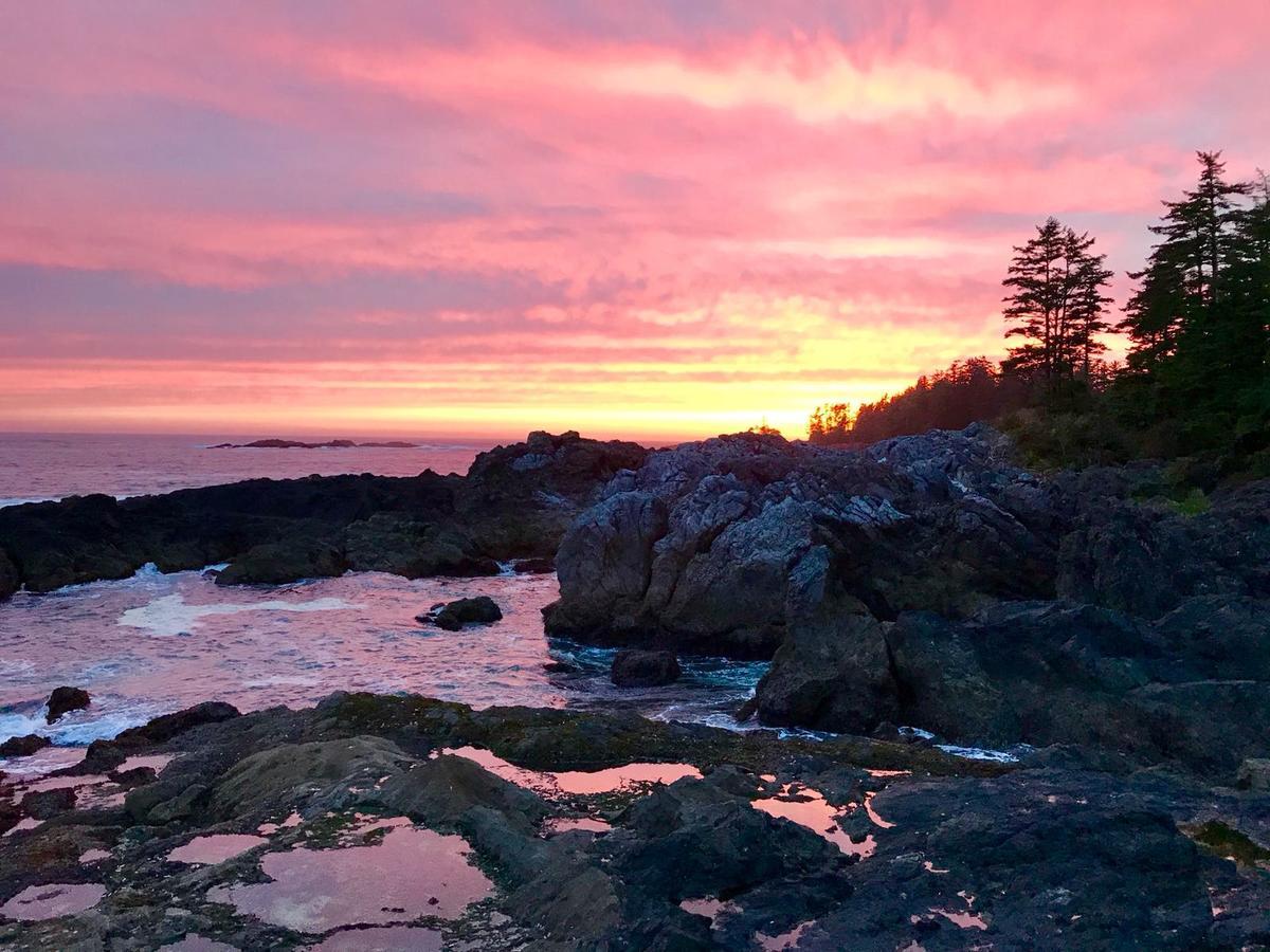 Odyssey Shores Guest Suite Ucluelet Eksteriør billede