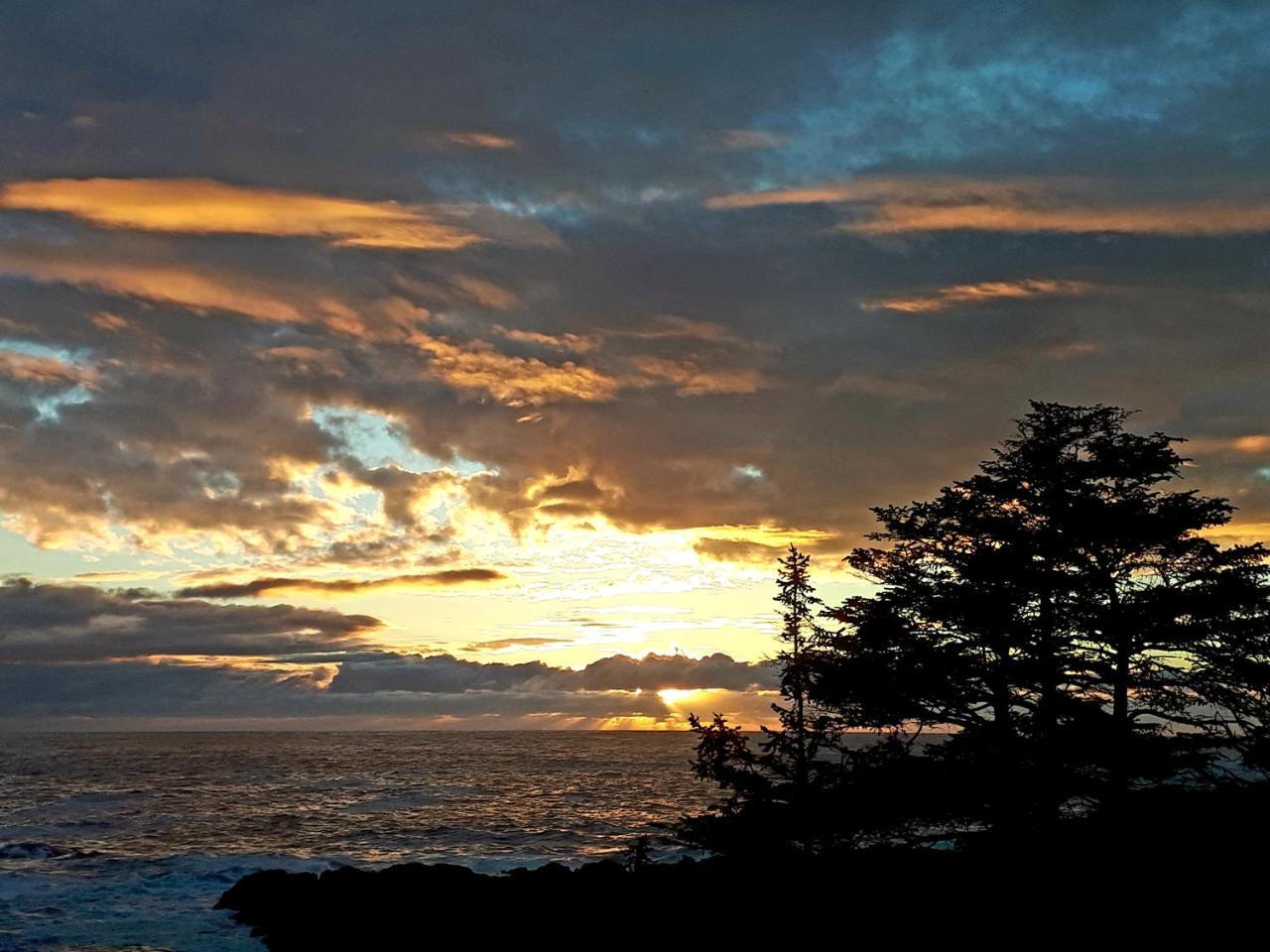 Odyssey Shores Guest Suite Ucluelet Eksteriør billede