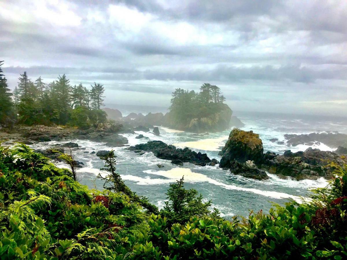 Odyssey Shores Guest Suite Ucluelet Eksteriør billede